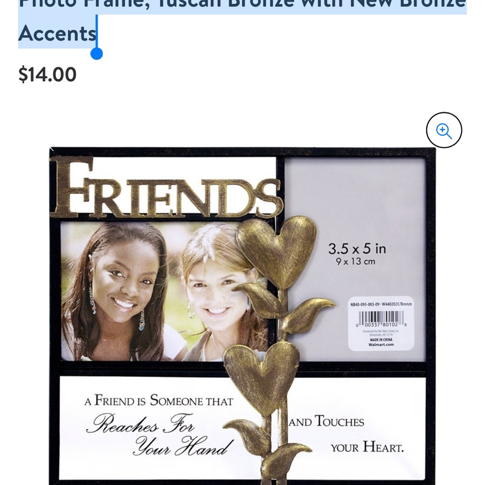 Expressions 2-Opening Wrought Iron Friends Photo Frame, Tuscan Bronze